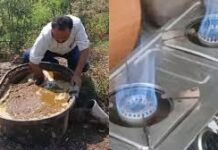 रुड़की में गोशाला बनी ऊर्जा क्रांति का केंद्र, गोबर गैस से खत्म हुई LPG पर निर्भरता; अब गांव में बनेगी बिजली