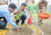 हरेला पर्व पर हरियाली का संकल्प: जिलाधिकारी डॉ.आशीष चौहान ने किया वृक्षारोपण. कहा- पौधारोपण को बनाएं जन-आंदोलन