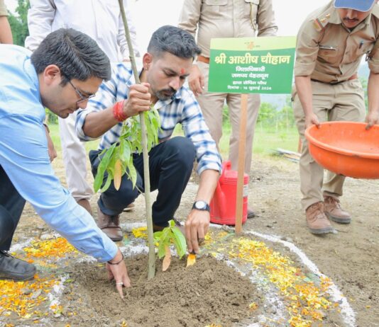हरेला पर्व पर हरियाली का संकल्प: जिलाधिकारी डॉ.आशीष चौहान ने किया वृक्षारोपण. कहा- पौधारोपण को बनाएं जन-आंदोलन