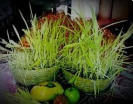 images-39