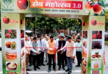 मुख्य सचिव ने एफपीओ को सस्टेनेबल बनाने के लिए इकोसिस्टम विकसित करने पर दिया जोर