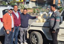त्योहारों से पहले मिलावट पर प्रहार, 350 किलो संदिग्ध पनीर-मावा नष्ट